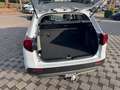Suzuki Vitara 1.5 VOLLHYBRID Comfort+ AGS Allgrip/AHK Bianco - thumbnail 7
