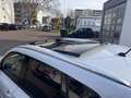 Suzuki Vitara 1.5 VOLLHYBRID Comfort+ AGS Allgrip/AHK Bianco - thumbnail 12
