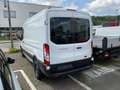 Ford Transit TREND 350L3 Kasten *Automatik Weiß - thumbnail 5