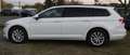 Volkswagen Passat Passat DSG Comfortline/TÜV+INSPEKTION NEU Weiß - thumbnail 7