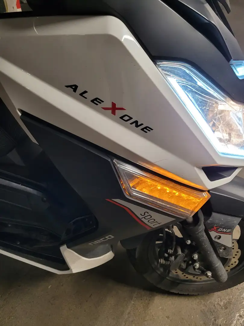 Neco Alexone Blanc - 2