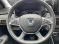 Dacia Sandero Rückfahrkamera Weiß - thumbnail 9