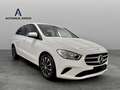 Mercedes-Benz B 180 d/1.HAND/NUR 51t.KM/KAM/LEDER/NAVI Bianco - thumbnail 1