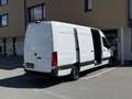Mercedes-Benz Sprinter 317 CDI ✅ KASTEN ✅ 360 Kamera ✅L4H3 Weiß - thumbnail 4