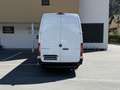 Mercedes-Benz Sprinter 317 CDI ✅ KASTEN ✅ 360 Kamera ✅L4H3 Weiß - thumbnail 3