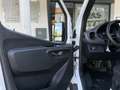 Mercedes-Benz Sprinter 317 CDI ✅ KASTEN ✅ 360 Kamera ✅L4H3 Weiß - thumbnail 12