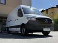 Mercedes-Benz Sprinter 317 CDI ✅ KASTEN ✅ 360 Kamera ✅L4H3 Weiß - thumbnail 49
