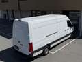 Mercedes-Benz Sprinter 317 CDI ✅ KASTEN ✅ 360 Kamera ✅L4H3 Weiß - thumbnail 8