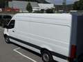 Mercedes-Benz Sprinter 317 CDI ✅ KASTEN ✅ 360 Kamera ✅L4H3 Weiß - thumbnail 42