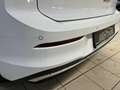 Volkswagen Golf VIII Edition 50 1.5 eTSI DSG 360 Grad Kamera Wit - thumbnail 20