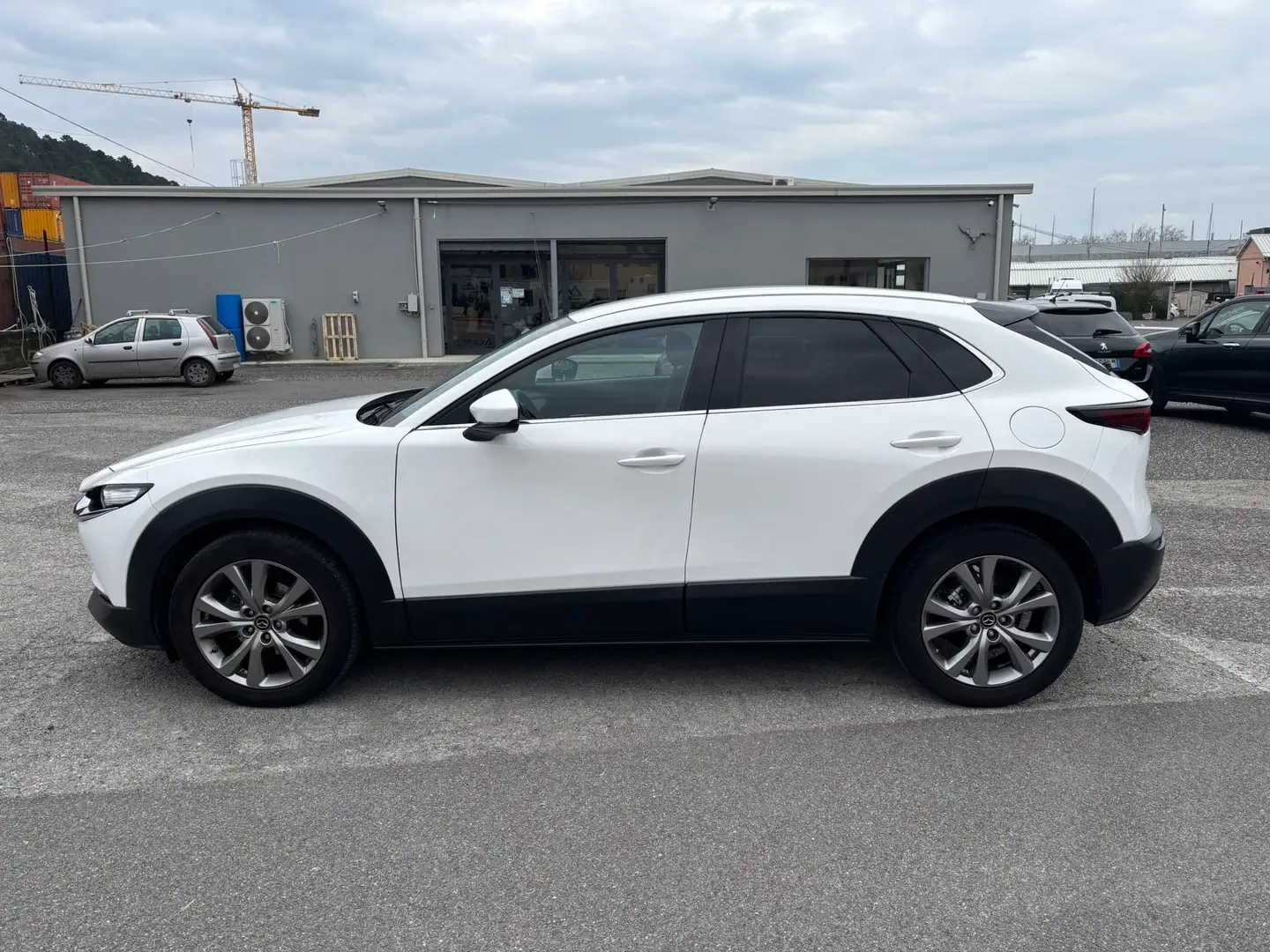 Mazda CX-30 CX-30 2.0 m-hybrid Executive 2wd 122cv 6mt Bianco - 2