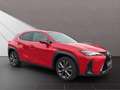 Lexus UX 250h 250h F-Sport Rot - thumbnail 7