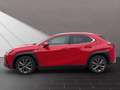 Lexus UX 250h 250h F-Sport Rot - thumbnail 2