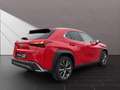 Lexus UX 250h 250h F-Sport Rot - thumbnail 5