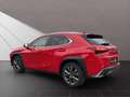 Lexus UX 250h 250h F-Sport Rot - thumbnail 3