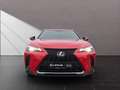 Lexus UX 250h 250h F-Sport Rot - thumbnail 8