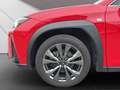 Lexus UX 250h 250h F-Sport Rot - thumbnail 21