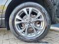 Ford Kuga 2.5 PHEV e-CVT 225pk ST-Line | Adaptive Cruise Con Zwart - thumbnail 2