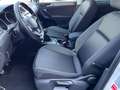 Volkswagen Tiguan "Active-Edition"mit LED+KAMERA+NAVI+ALU Weiß - thumbnail 18