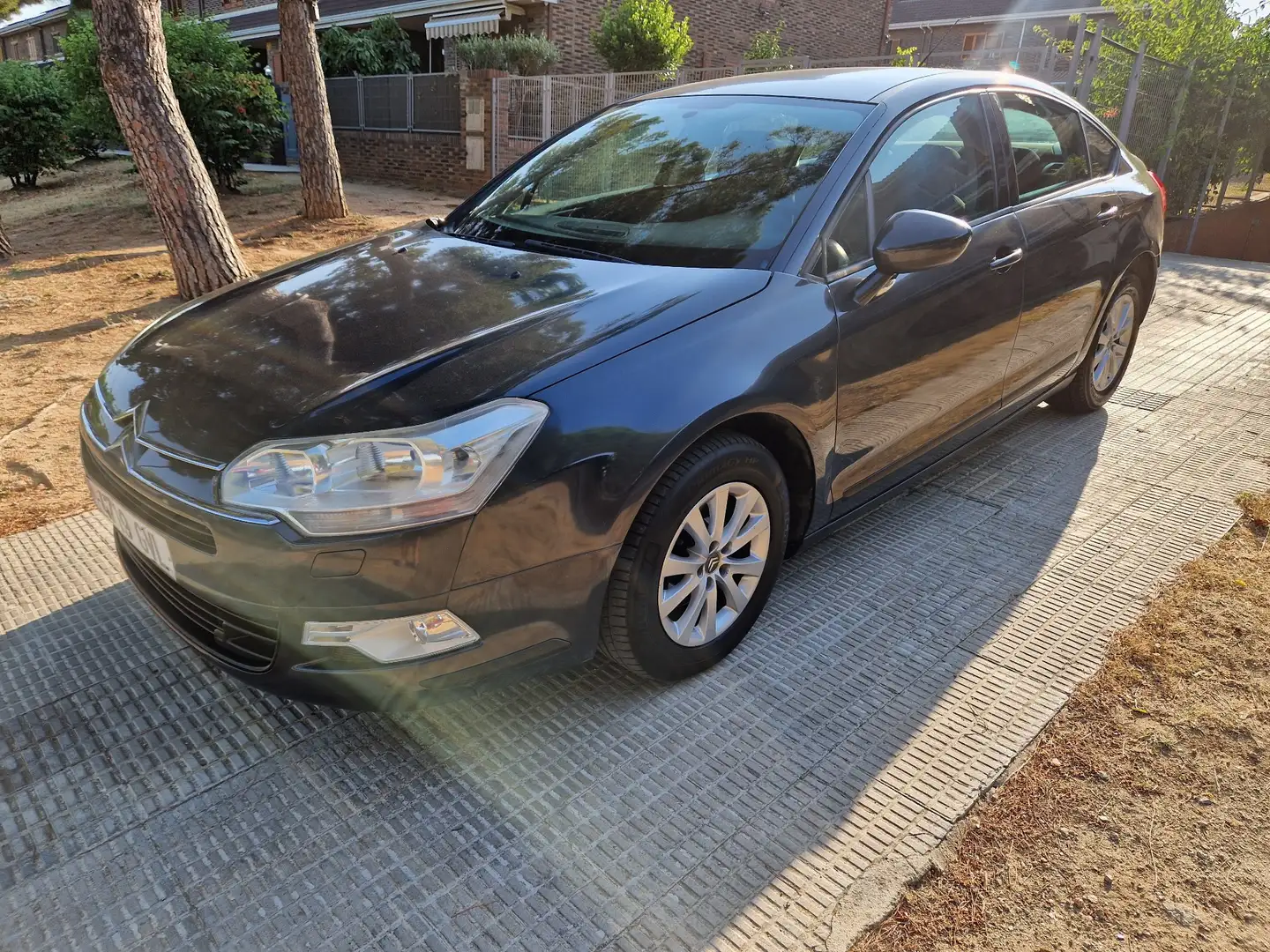 Citroen C5 2.0HDI Business - 1