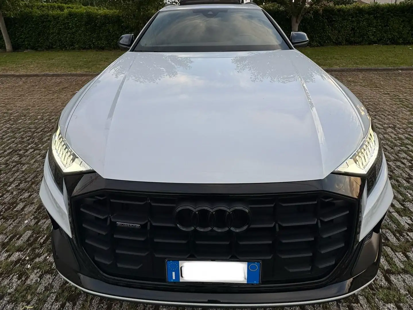Audi Q8 AUDI Q8 50 3.0 tdi mhev Sport quattro tiptronic Bianco - 1
