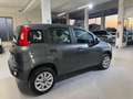 Fiat Panda 0.9 TwinAir Turbo Natural Power Lounge Grigio - thumbnail 10