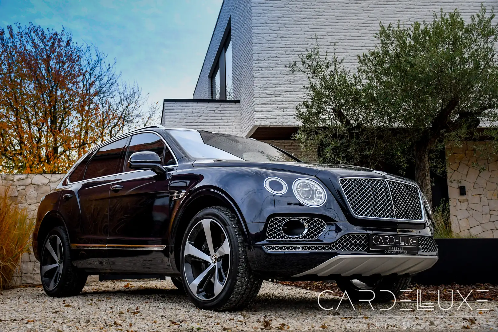 Bentley Bentayga Bentayga V8 Lichte Vracht | NAIM | NIGHTVISION Blauw - 1