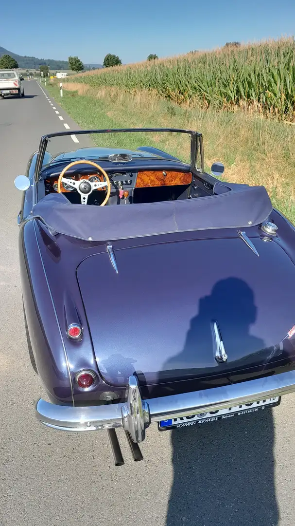 Austin-Healey 3000 BJ8 Blau - 2