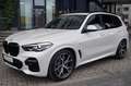 BMW X5 xDrive30d M Sport 7Sitzer H/K HUD 360Kam Blanco - thumbnail 9