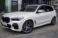 BMW X5 xDrive30d M Sport 7Sitzer H/K HUD 360Kam Blanco - thumbnail 2