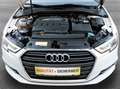 Audi A3 SB 1.6 TDI Intense *XENON*PARK-PILOT*SHZ*TEMPOMAT* Weiß - thumbnail 20