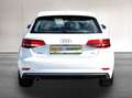 Audi A3 SB 1.6 TDI Intense *XENON*PARK-PILOT*SHZ*TEMPOMAT* Weiß - thumbnail 19