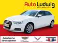Audi A3 SB 1.6 TDI Intense *XENON*PARK-PILOT*SHZ*TEMPOMAT* Weiß - thumbnail 1