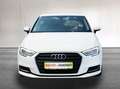 Audi A3 SB 1.6 TDI Intense *XENON*PARK-PILOT*SHZ*TEMPOMAT* Weiß - thumbnail 3