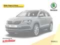 Skoda Karoq Tour 1.5 TSI 110KW DSG ''Parken Plus''Fahrassisten Bleu - thumbnail 1