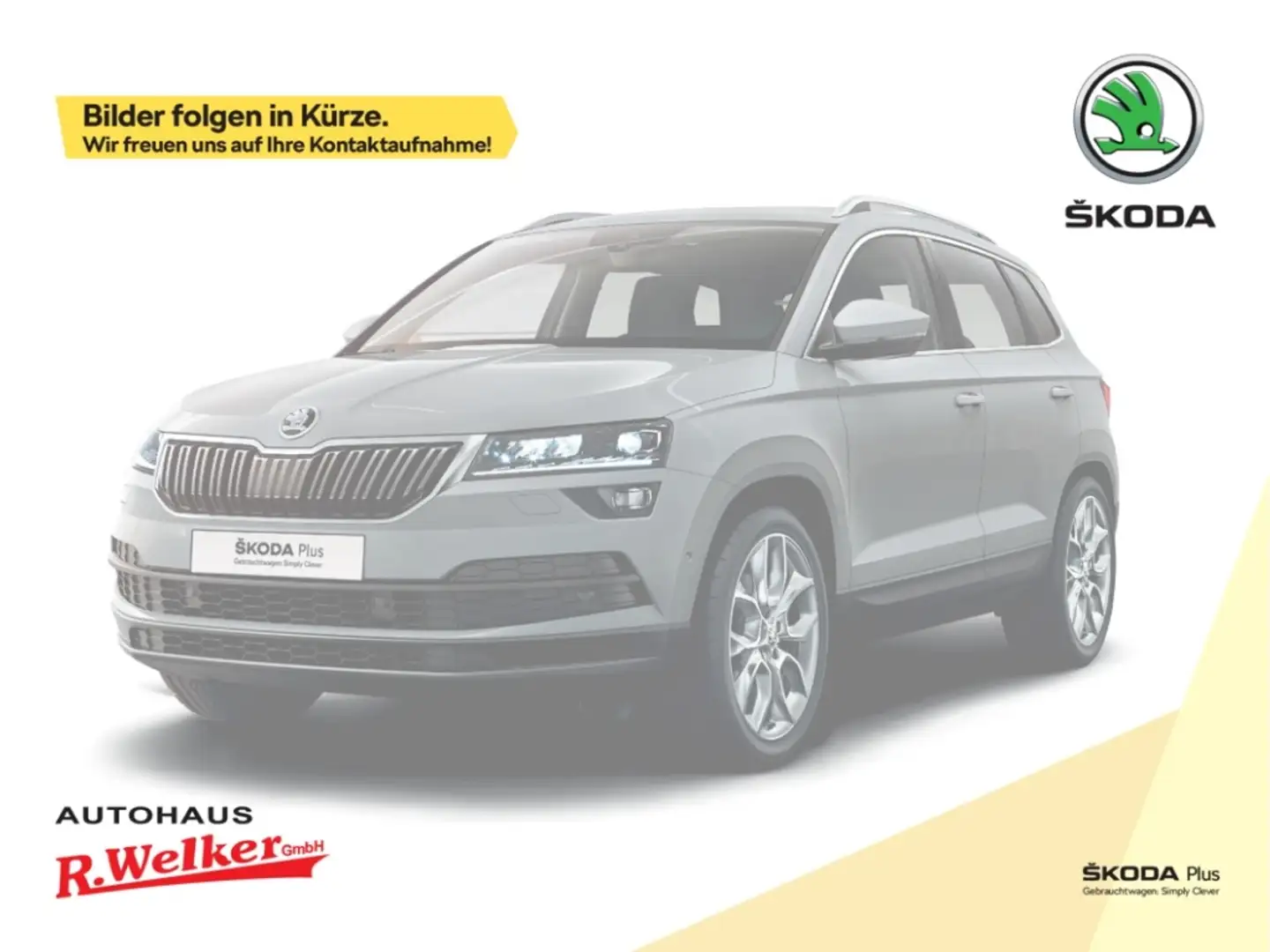 Skoda Karoq Tour 1.5 TSI 110KW DSG ''Parken Plus''Fahrassisten Blau - 1