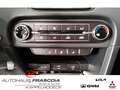 Kia Ceed / cee'd 1.0 Vision Navi PDC hi. SHZ Rückfahrkam. Apple Car Gris - thumbnail 16