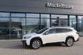 Subaru OUTBACK Platinum Leder schwarz Weiß - thumbnail 1