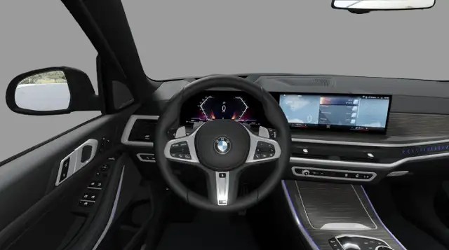 BMW X5 view 7