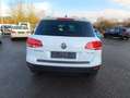 Volkswagen Touareg V6 TDI 4Motion,LEDER,NAVI,SITZHEIZUNG Weiß - thumbnail 7
