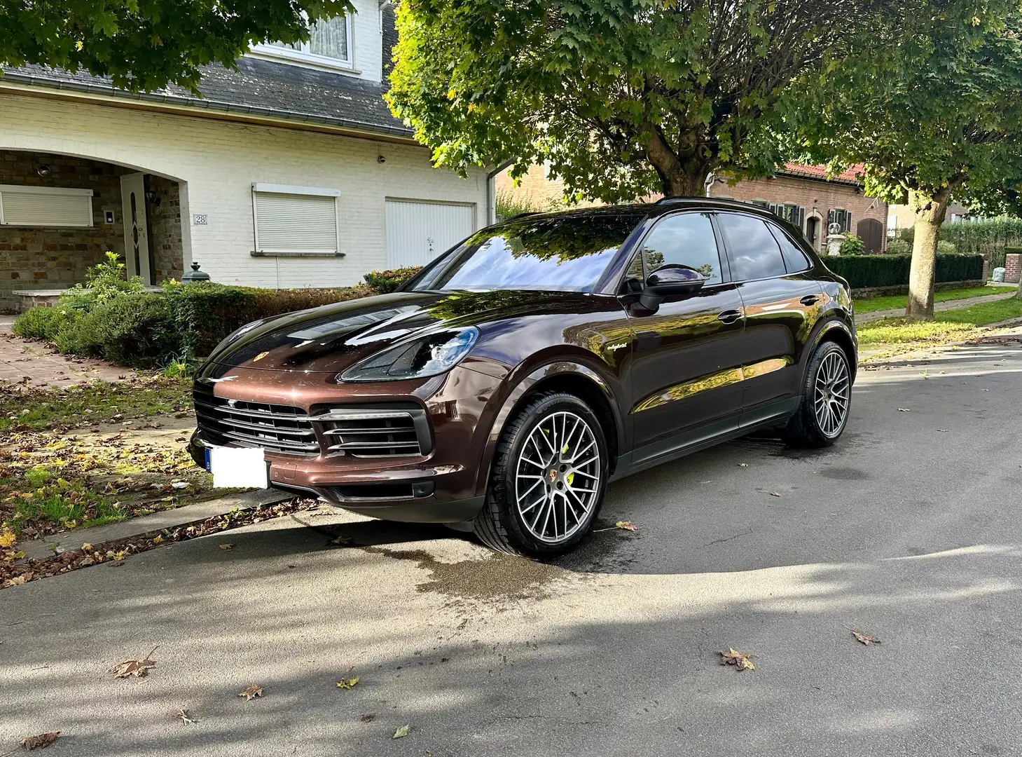 Porsche Cayenne Cayenne 3.0i V6 PHEV Tiptronic S Bruin - 2
