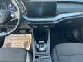 Skoda Octavia 4x4 Ambition TDI DSG Grau - thumbnail 11