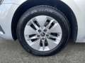 Skoda Octavia 4x4 Ambition TDI DSG Grau - thumbnail 14