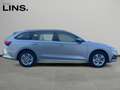 Skoda Octavia 4x4 Ambition TDI DSG Grau - thumbnail 6