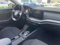 Skoda Octavia 4x4 Ambition TDI DSG Grau - thumbnail 18
