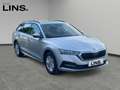 Skoda Octavia 4x4 Ambition TDI DSG Grau - thumbnail 7