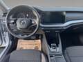 Skoda Octavia 4x4 Ambition TDI DSG Grau - thumbnail 10