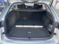 Skoda Octavia 4x4 Ambition TDI DSG Grau - thumbnail 15