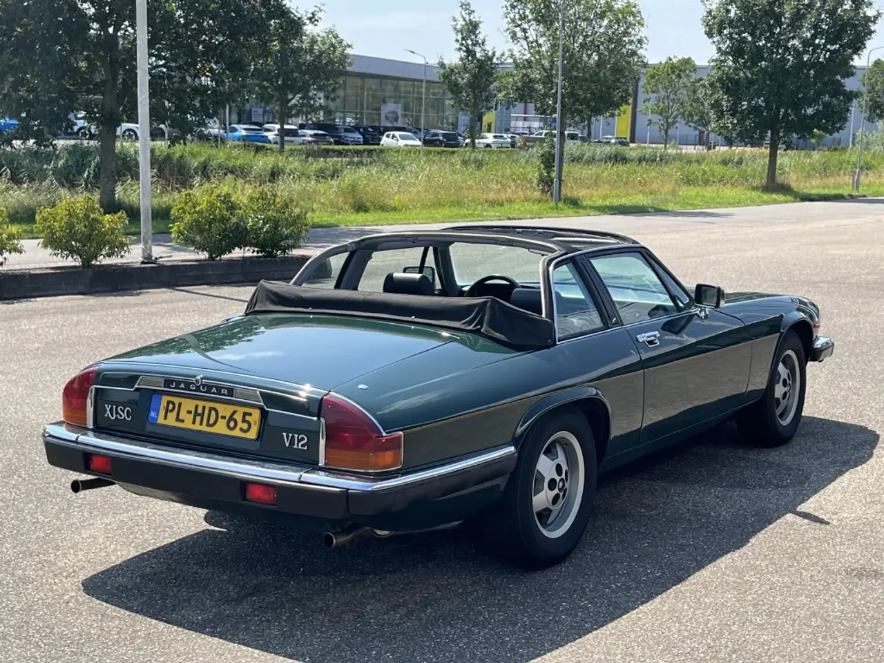 Jaguar XJS-C 5.3 V12 Targa, foto 6