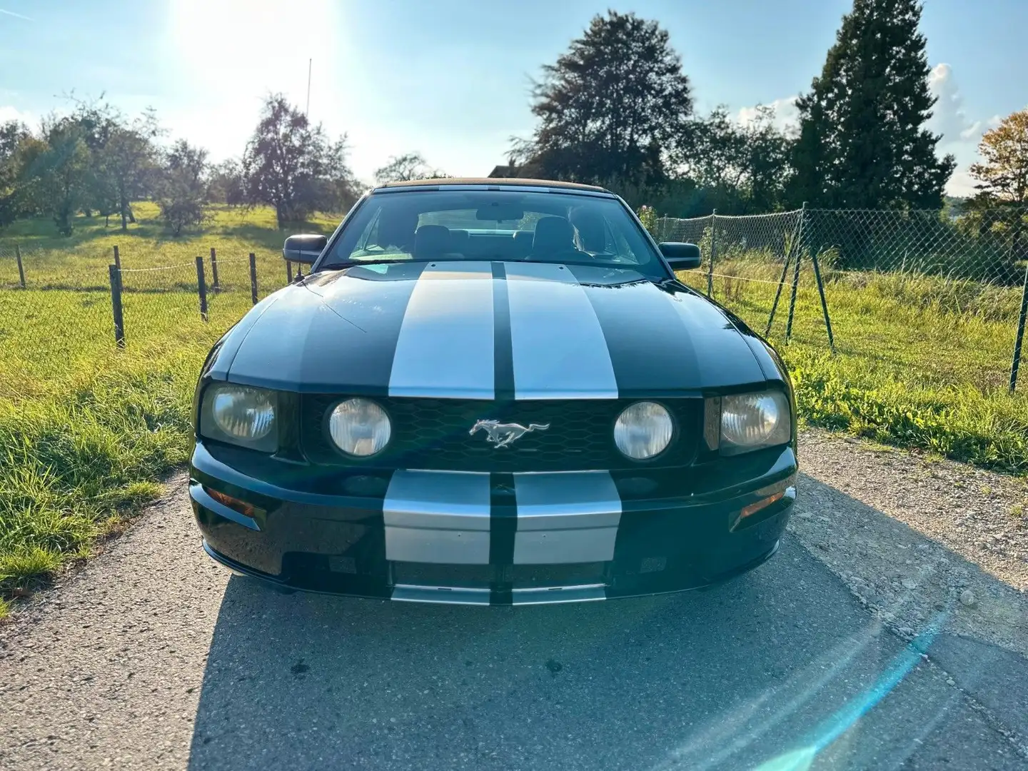 Ford Mustang GT*Cabrio*V8*Automatik*SHZ*Leder*Klima* Schwarz - 1